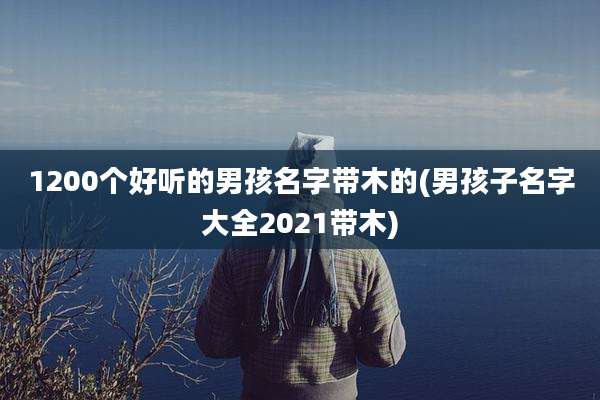 1200个好听的男孩名字带木的(男孩子名字大全2021带木)
