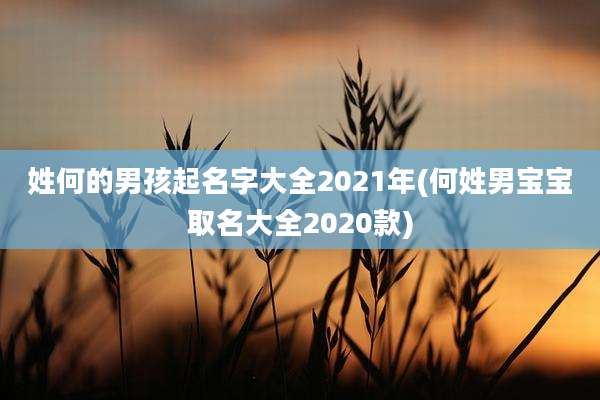 姓何的男孩起名字大全2021年(何姓男宝宝取名大全2020款)