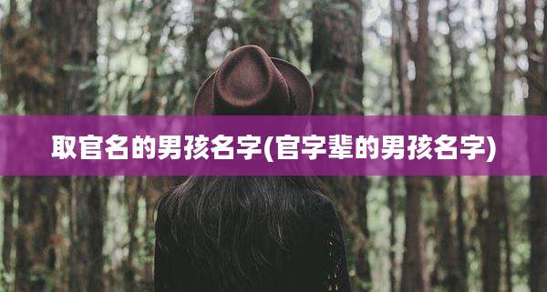 取官名的男孩名字(官字辈的男孩名字)