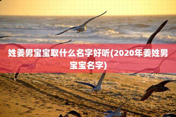 姓姜男宝宝取什么名字好听(2020年姜姓男宝宝名字)