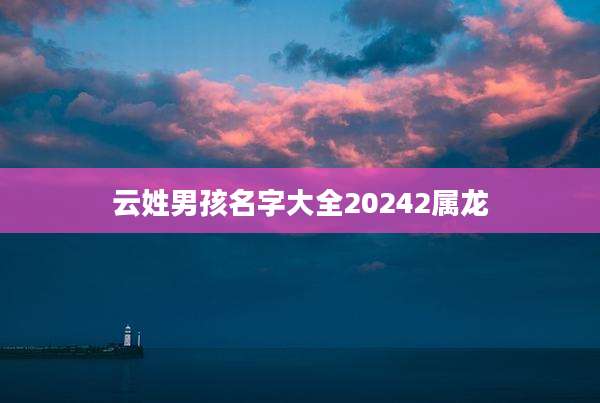 云姓男孩名字大全20242属龙