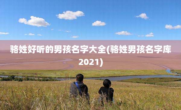 骆姓好听的男孩名字大全(骆姓男孩名字库2021)