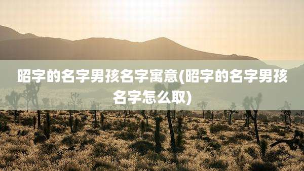 昭字的名字男孩名字寓意(昭字的名字男孩名字怎么取)