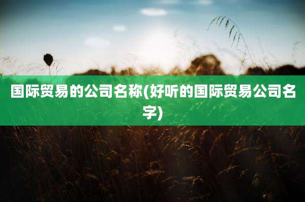 国际贸易的公司名称(好听的国际贸易公司名字)