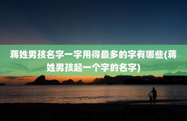 蒋姓男孩名字一字用得最多的字有哪些(蒋姓男孩起一个字的名字)