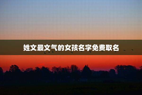 姓文最文气的女孩名字免费取名