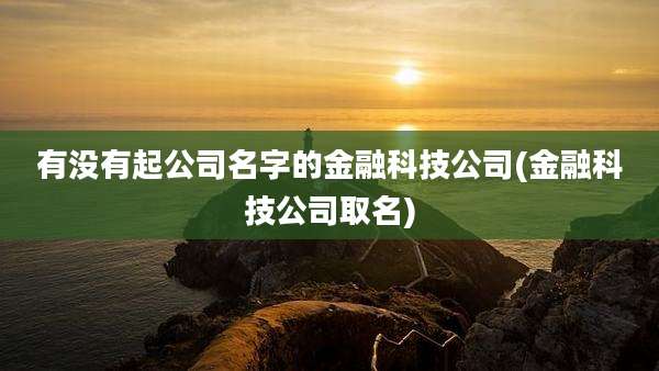 有没有起公司名字的金融科技公司(金融科技公司取名)
