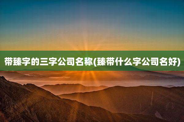 带臻字的三字公司名称(臻带什么字公司名好)