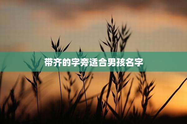 带齐的字旁适合男孩名字