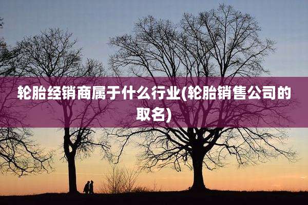 轮胎经销商属于什么行业(轮胎销售公司的取名)
