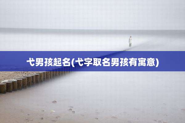 弋男孩起名(弋字取名男孩有寓意)