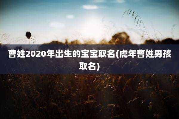曹姓2020年出生的宝宝取名(虎年曹姓男孩取名)