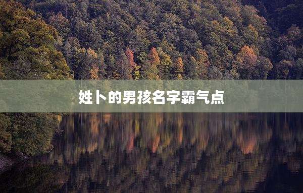 姓卜的男孩名字霸气点