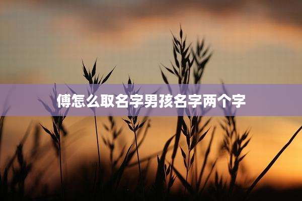 傅怎么取名字男孩名字两个字