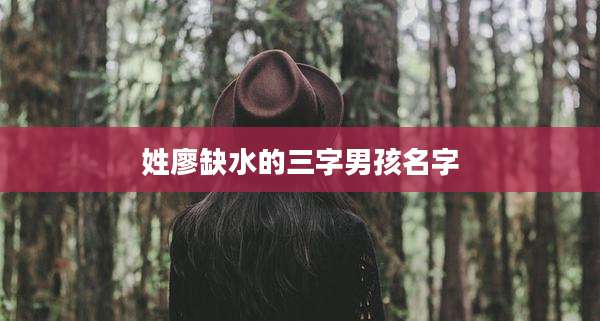 姓廖缺水的三字男孩名字
