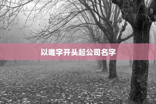 以唯字开头起公司名字