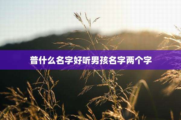 普什么名字好听男孩名字两个字