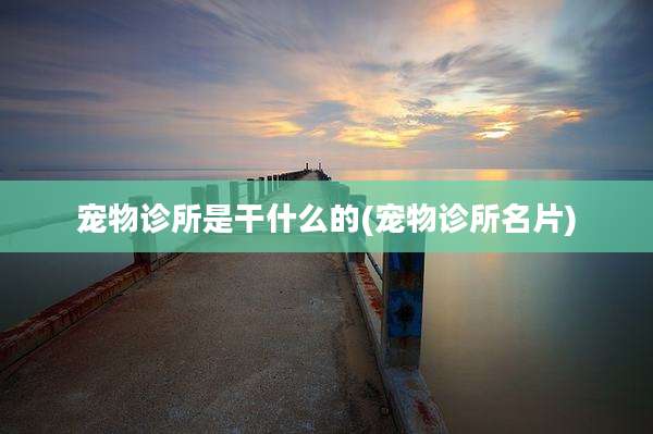 宠物诊所是干什么的(宠物诊所名片)
