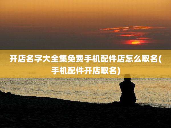 开店名字大全集免费手机配件店怎么取名(手机配件开店取名)