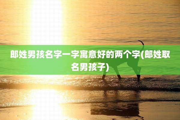 郎姓男孩名字一字寓意好的两个字(郎姓取名男孩子)