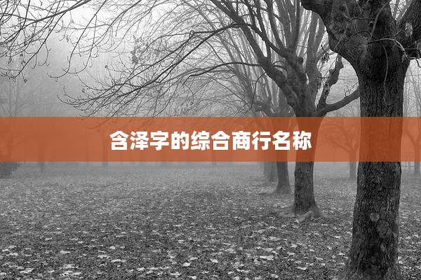 含泽字的综合商行名称