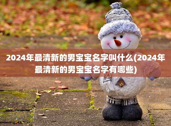2024年最清新的男宝宝名字叫什么(2024年最清新的男宝宝名字有哪些)