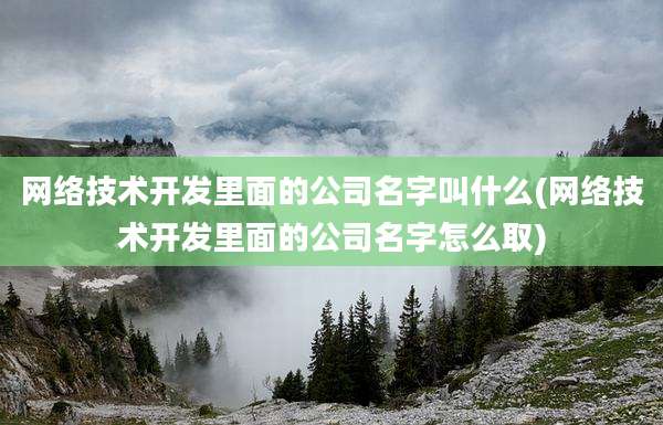 网络技术开发里面的公司名字叫什么(网络技术开发里面的公司名字怎么取)