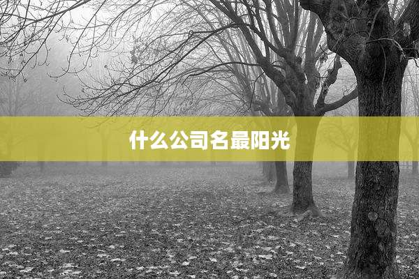 什么公司名最阳光