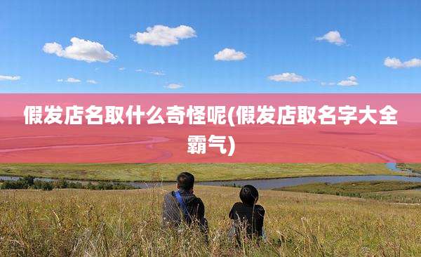 假发店名取什么奇怪呢(假发店取名字大全霸气)