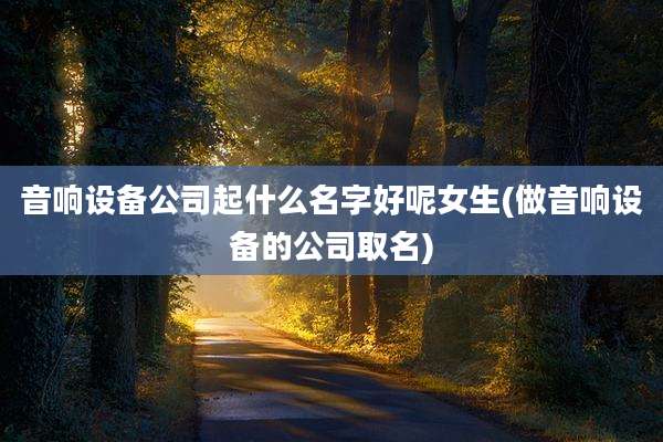 音响设备公司起什么名字好呢女生(做音响设备的公司取名)