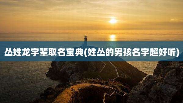 丛姓龙字辈取名宝典(姓丛的男孩名字超好听)