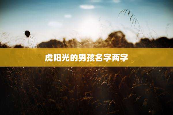 虎阳光的男孩名字两字
