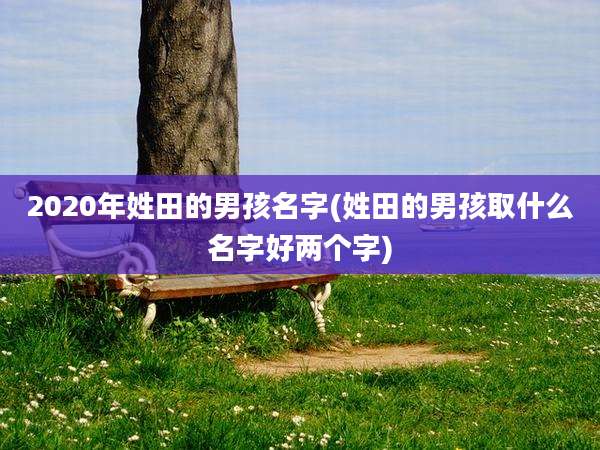 2020年姓田的男孩名字(姓田的男孩取什么名字好两个字)