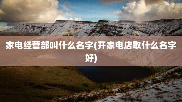 家电经营部叫什么名字(开家电店取什么名字好)