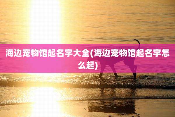 海边宠物馆起名字大全(海边宠物馆起名字怎么起)