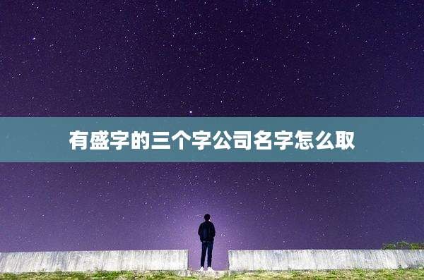 有盛字的三个字公司名字怎么取