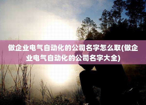 做企业电气自动化的公司名字怎么取(做企业电气自动化的公司名字大全)