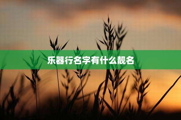 乐器行名字有什么靓名