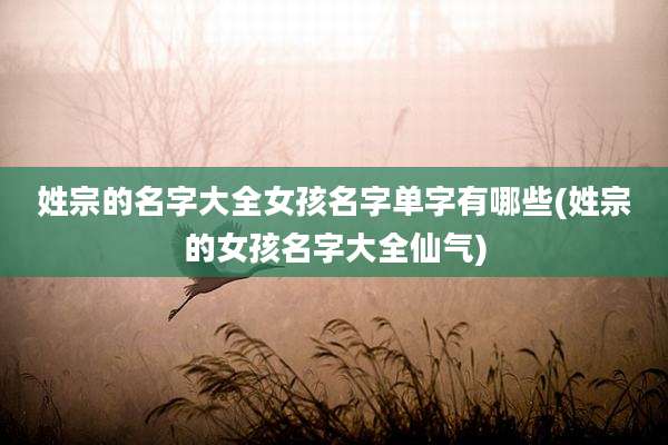 姓宗的名字大全女孩名字单字有哪些(姓宗的女孩名字大全仙气)