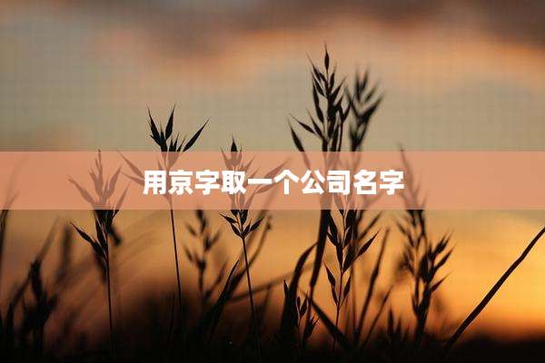 用京字取一个公司名字