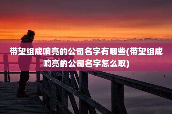 带望组成响亮的公司名字有哪些(带望组成响亮的公司名字怎么取)
