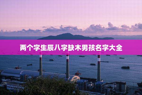 两个字生辰八字缺木男孩名字大全