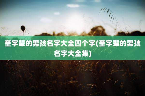 奎字辈的男孩名字大全四个字(奎字辈的男孩名字大全集)