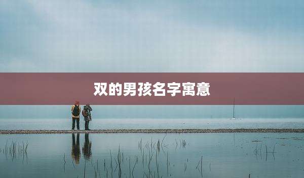 双的男孩名字寓意