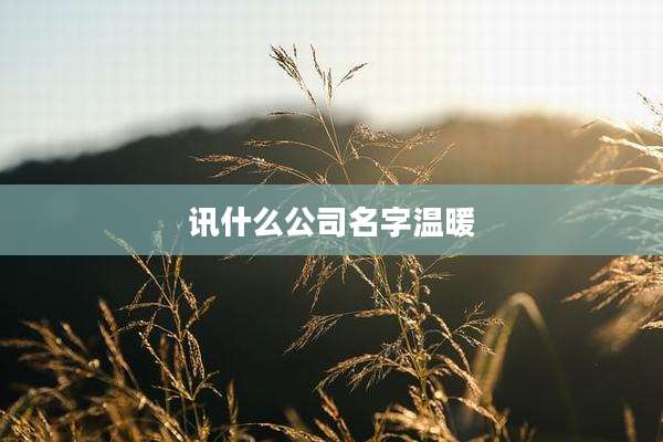 讯什么公司名字温暖