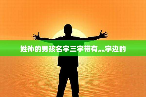 姓孙的男孩名字三字带有灬字边的