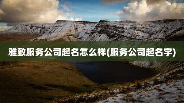 雅致服务公司起名怎么样(服务公司起名字)