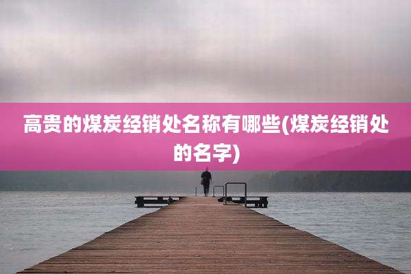 高贵的煤炭经销处名称有哪些(煤炭经销处的名字)