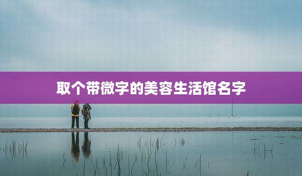 取个带微字的美容生活馆名字