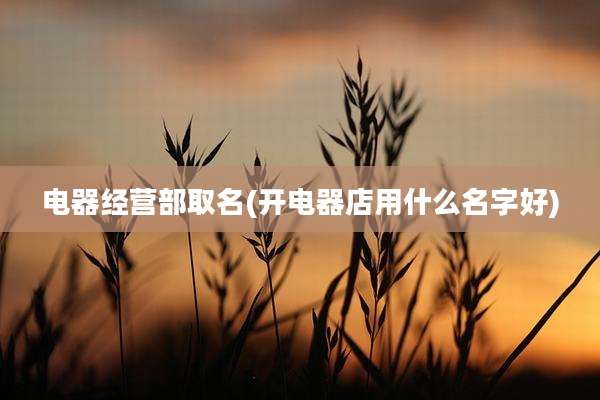 电器经营部取名(开电器店用什么名字好)